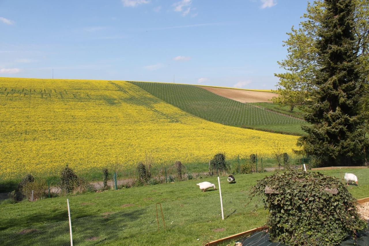 Happy & Relax Bed and Breakfast Mentque-Nortbecourt Εξωτερικό φωτογραφία